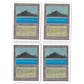 Magic the Gathering Unlimited Dual Land PLAYSET (40 duals, 4 of each) - NM - MP