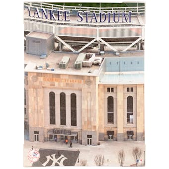 New York Yankees Stadium 18x24 Artissimo