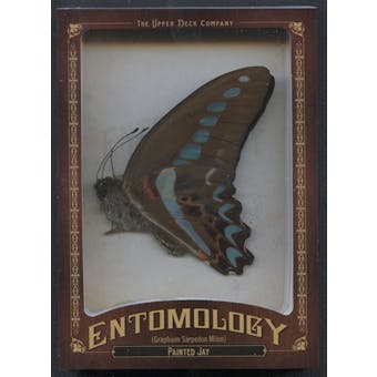 2011 Upper Deck Goodwin Champions #ENT5 Painted Jay Entomology