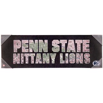 Penn State Nittany Lions Artissimo Team Pride 12x26 Canvas