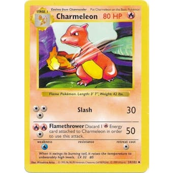 Pokemon Base Set SHADOWLESS Single Charmeleon 24 - NEAR MINT (NM)