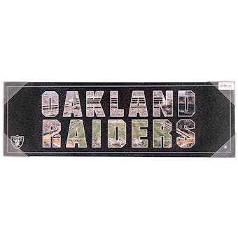 Oakland Raiders Artissimo Team Pride 12x26 Canvas