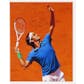 Roger Federer Autographed Framed 8x10 Tennis Photo (Tennis Canada COA)