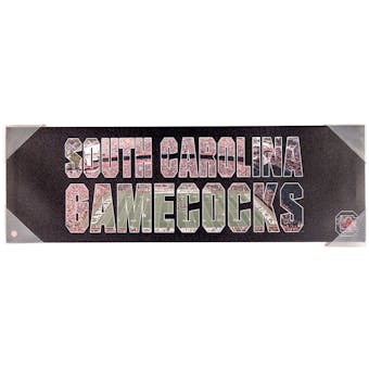 South Carolina Gamecocks Artissimo Team Pride 30x10 Canvas