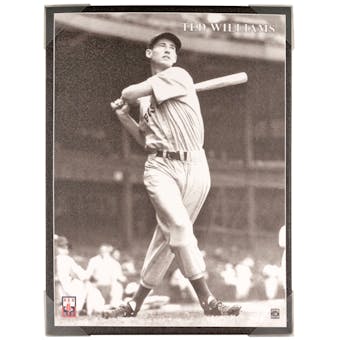 Boston Red Sox Artissimo Ted Williams 18x24 Canvas