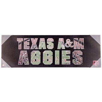 Texas A&M Aggies Artissimo Team Pride 30x10 Canvas