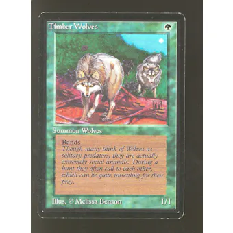 Magic the Gathering Beta Timber Wolves NEAR MINT NM