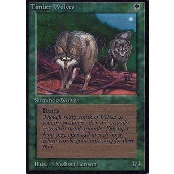 Magic the Gathering Alpha Single Timber Wolves SIGNED BY MELISSA BENSON - MODERATE PLAY (MP)