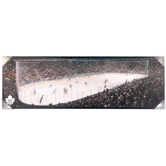 Toronto Maple Leafs Air Canada Centre Artissimo 15x47 Canvas