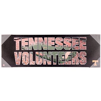 Tennessee Volunteers Artissimo Team Pride Printed Canvas 30X10