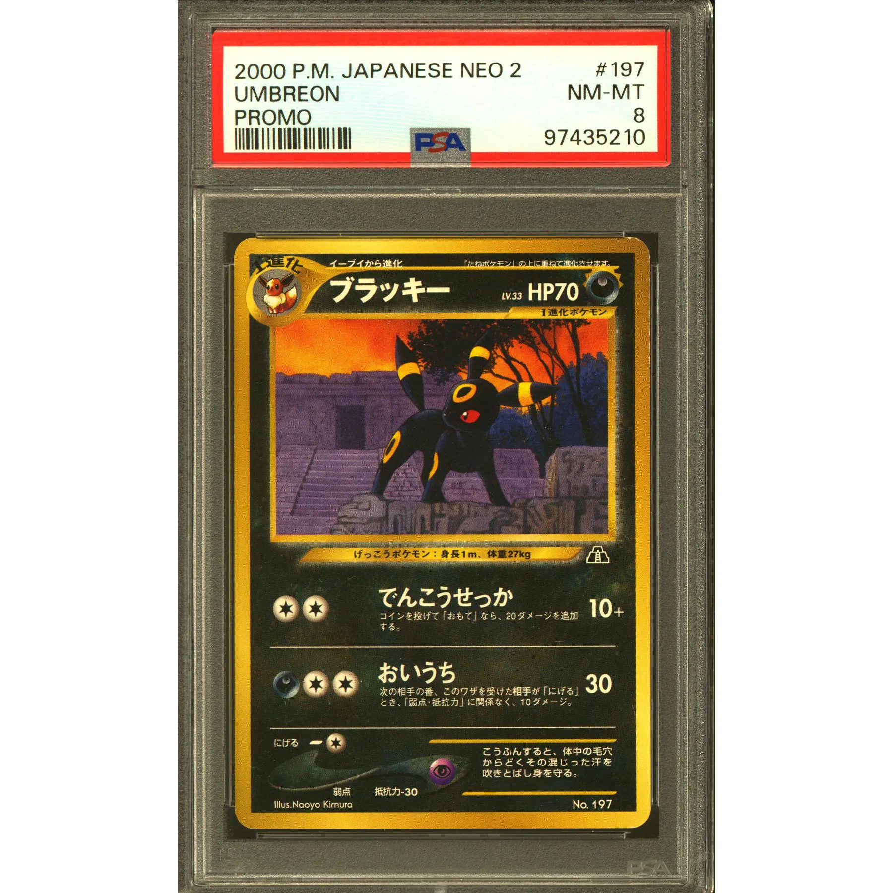 Pokemon Neo Discovery Japanese Premium File Umbreon 197 PSA 8 | DA Card World Pokemon Neo Discovery Japanese Premium File Umbreon 197 PSA 8 | DA Card World