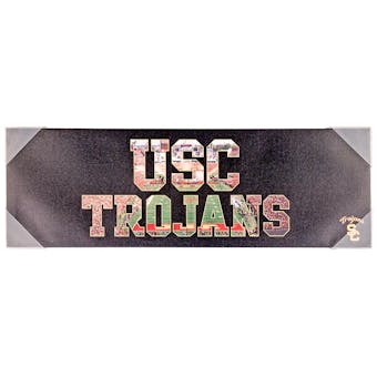 USC Trojans Artissimo Team Pride 30x10 Canvas