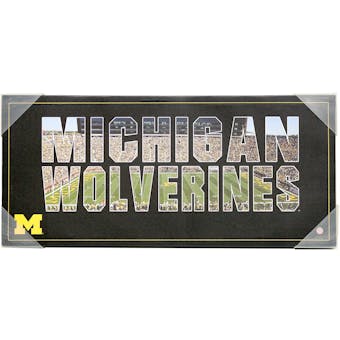 Michigan Wolverines Artissimo Team Pride 12x26 Canvas